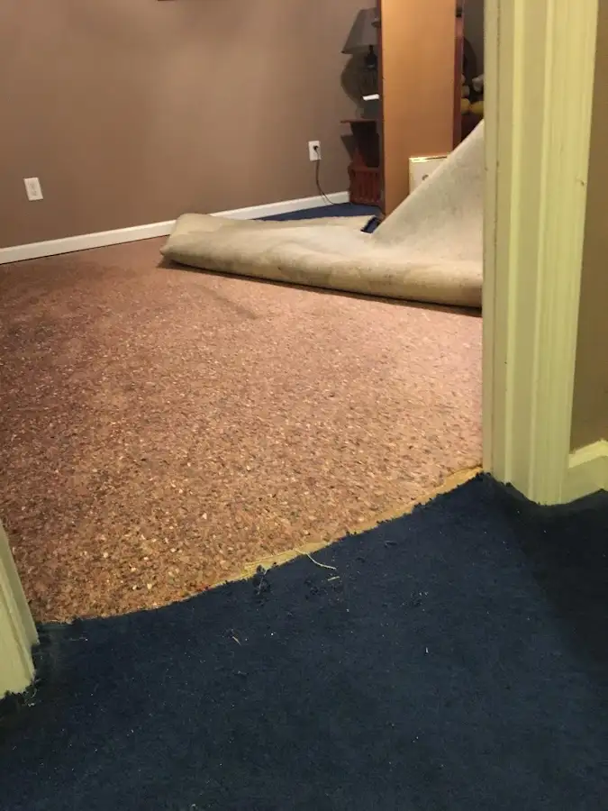 Carpet pad removal revealing water damage during Water Mitigation Services in Malverne