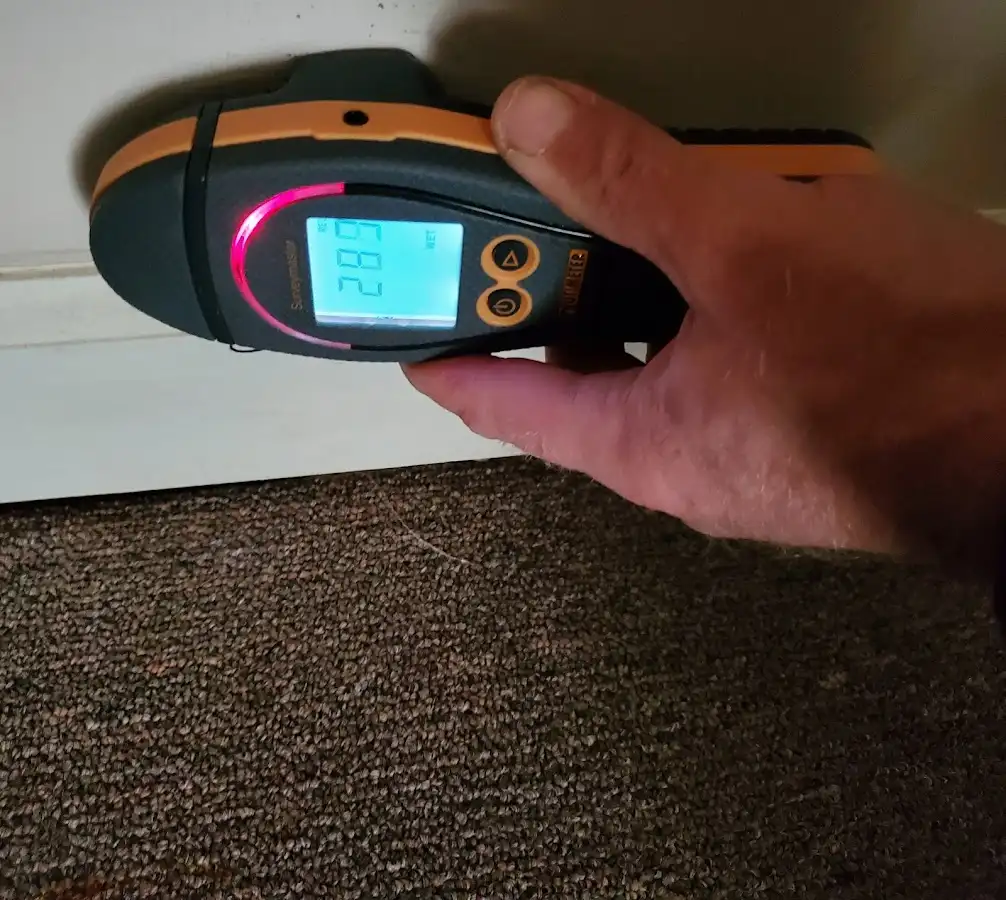 Moisture detection at baseboard during Mold Inspection & Testing in Malverne